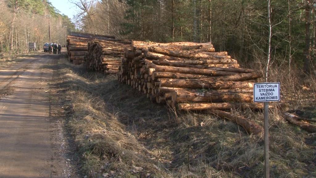 Patarimai susiruošusiems malkauti