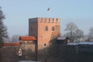 Medininkų pilyje – Lietuvos Nepriklausomybės atkūrimo dienos minėjimas