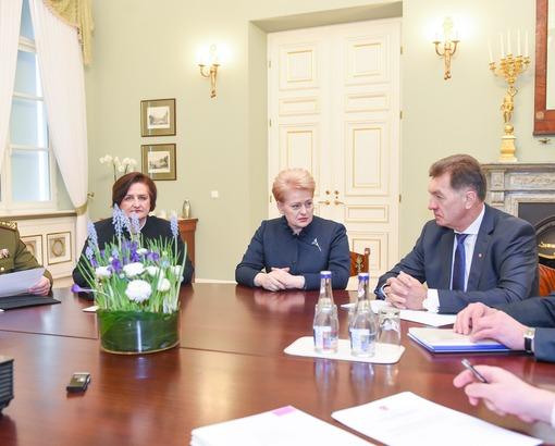 Lietuvoje įtvirtinama mišri kariuomenė