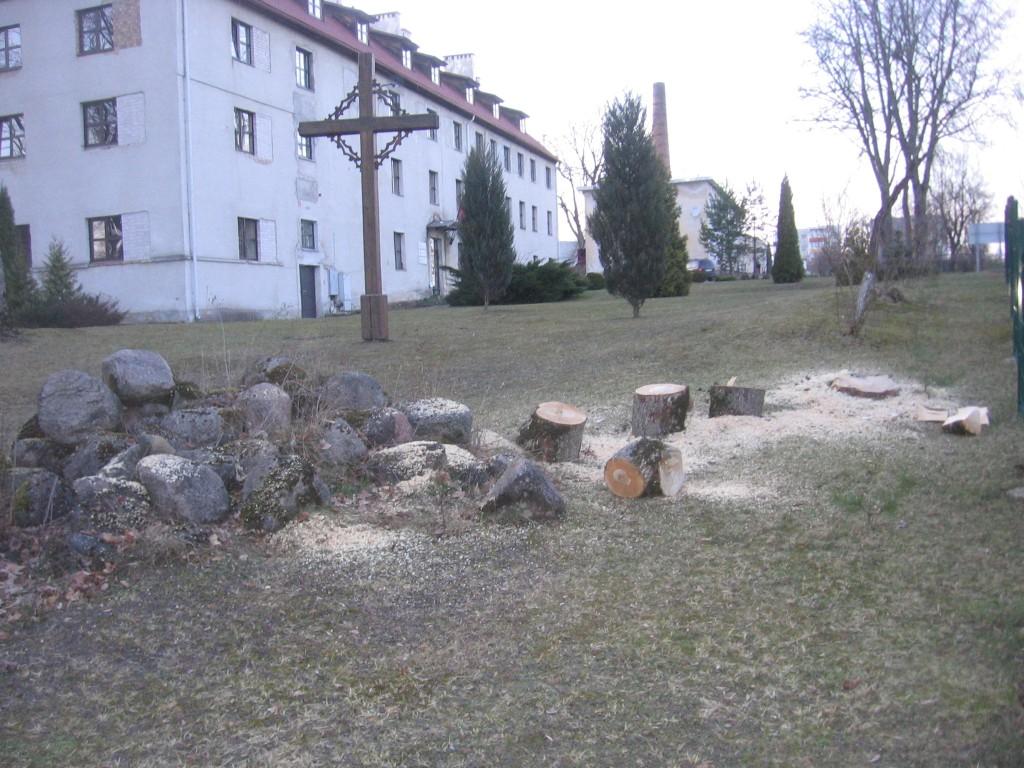 Iškirsti medžiai prie Auktadvario vienuolyno 