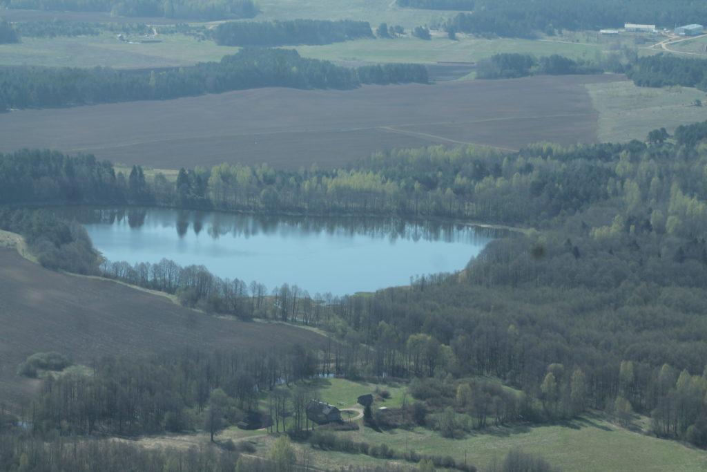 Leidimų kirsti mišką išdavimo tvarka