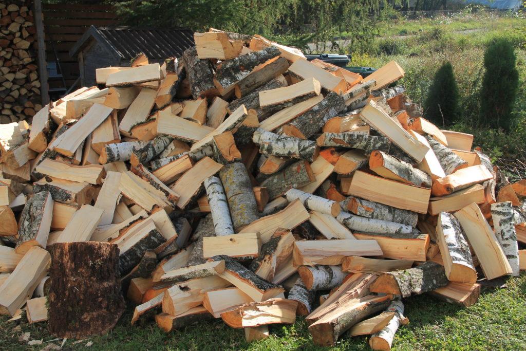 Urėdijos atstovai siūlo medieną šildymui susirinkti patiems gyventojams, ir taip mokėti kelis kartus mažiau