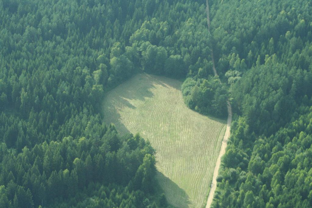 Miško kirtimai saugomose teritorijose ir Europos Bendrijos svarbos buveinėse