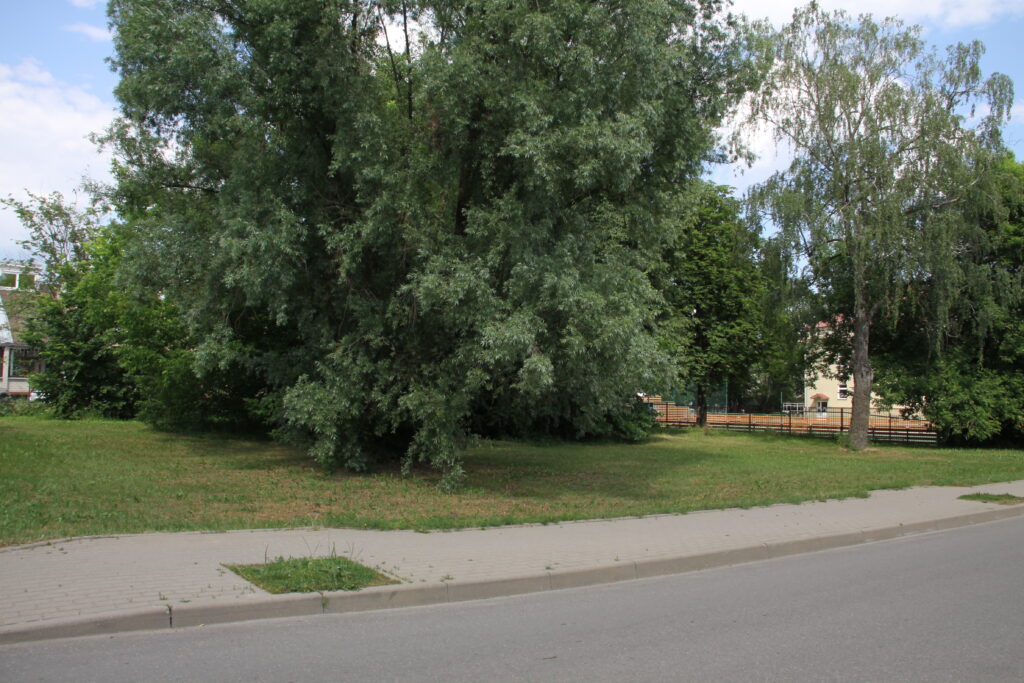 Šeimos parko ir skverų įkūrimas, prieigų bei jungties tarp jų infrastruktūros sutvarkymas Lentvario mieste