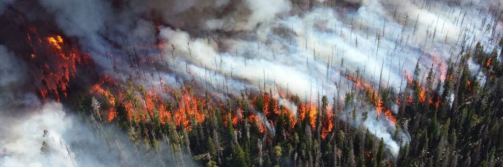 Lietuvos miškų priešgaisrinė apsauga