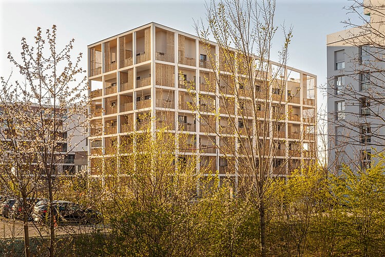 Savivaldybė perka dviejų kambarių butus