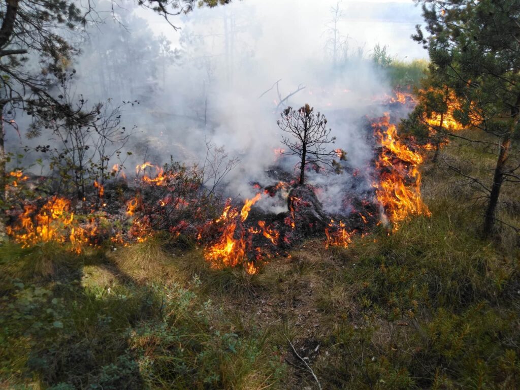 Prasidedant gaisrų sezonui – miškininkų reidai