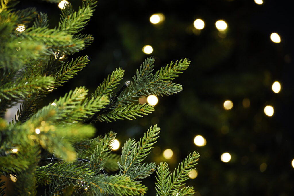 Miškininkai kviečia parsinešti Kalėdas į savo namus – gruodžio 20 d. visoje Lietuvoje nemokamai dalins eglių šakas
