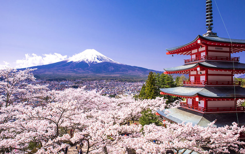 Japonijos ambasada skelbia konkursą mokytojams stažuotis šioje šalyje