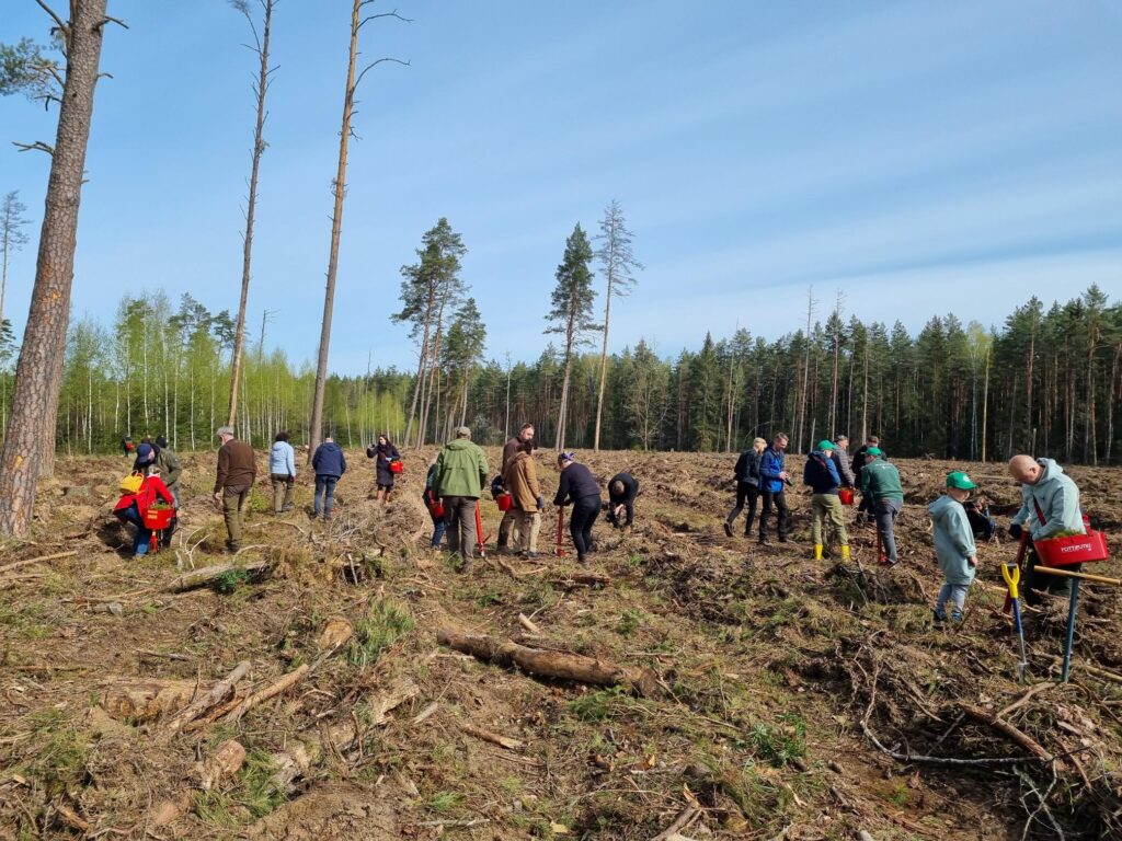Nacionalinis miškasodis sutelkė tautiečius – pasodinta tiek medelių, kiek Lietuvoje gyventojų – net 2,8 mln.