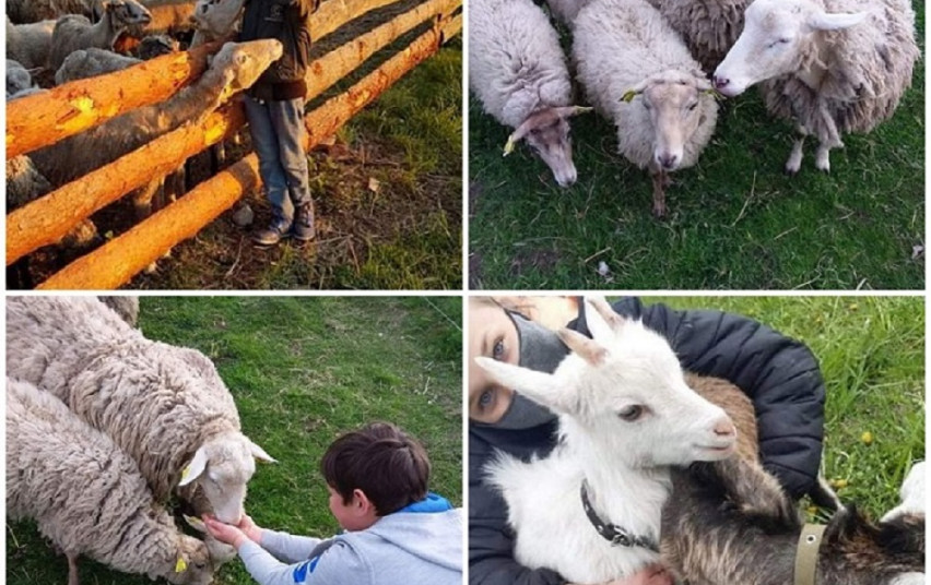 Smulkiems ir stambiems ūkiams nebereikės konkuruoti tarpusavyje dėl paramos