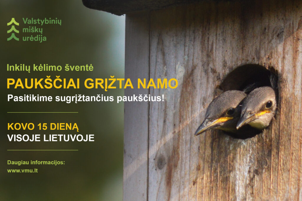 Paukščiai grįžta namo – sparnuotų giesmininkų sutiktuvės visoje Lietuvoje