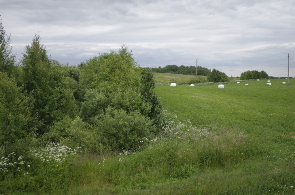 Palanki žinia ūkininkams: visi formalumai suderinti, šįmet daugiamečių pievų atkurti tikrai nereikės