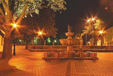 Telšiai – 2013 metų laimėtojas