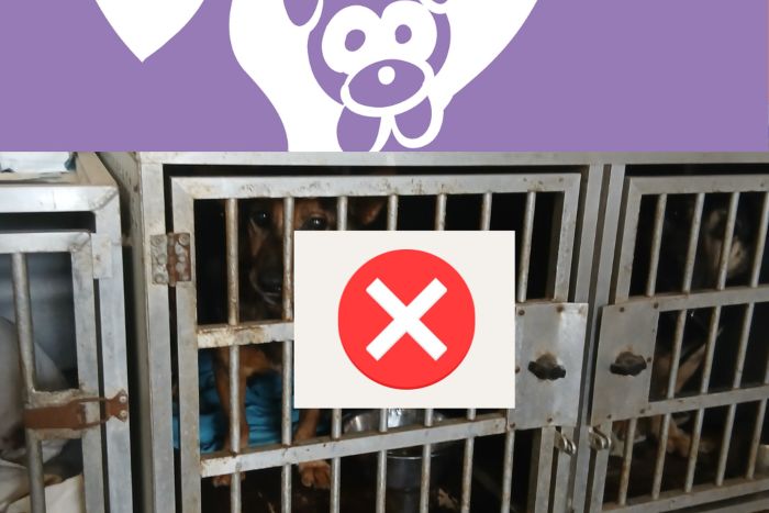 Suomijos gyvūnų globos organizacija „Pet Rescue Finland“ nutraukė bendradarbiavimą su „Penkta koja“